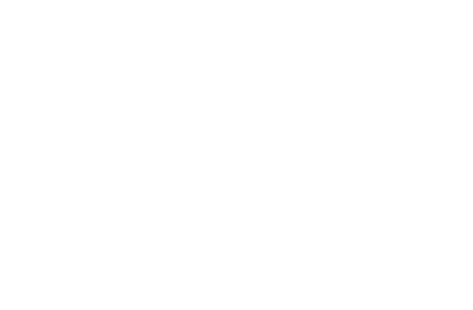 Cesur Filo logosu